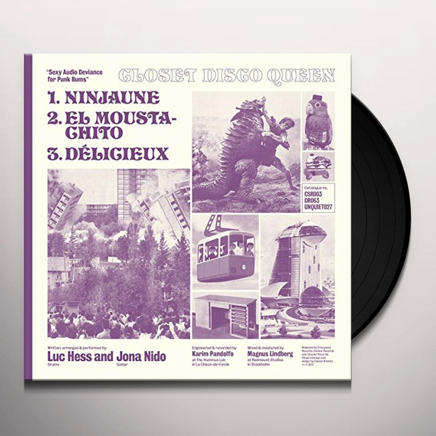 Closet Disco Queen Sexy Audio Deviance for Punk Bums Vinyl Record