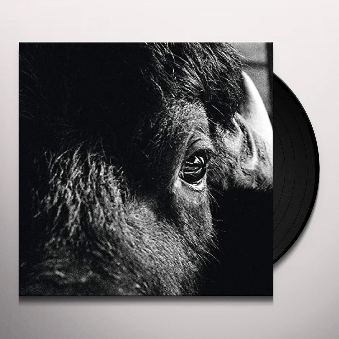 Killbody Tuning Pictorial Vinyl Record