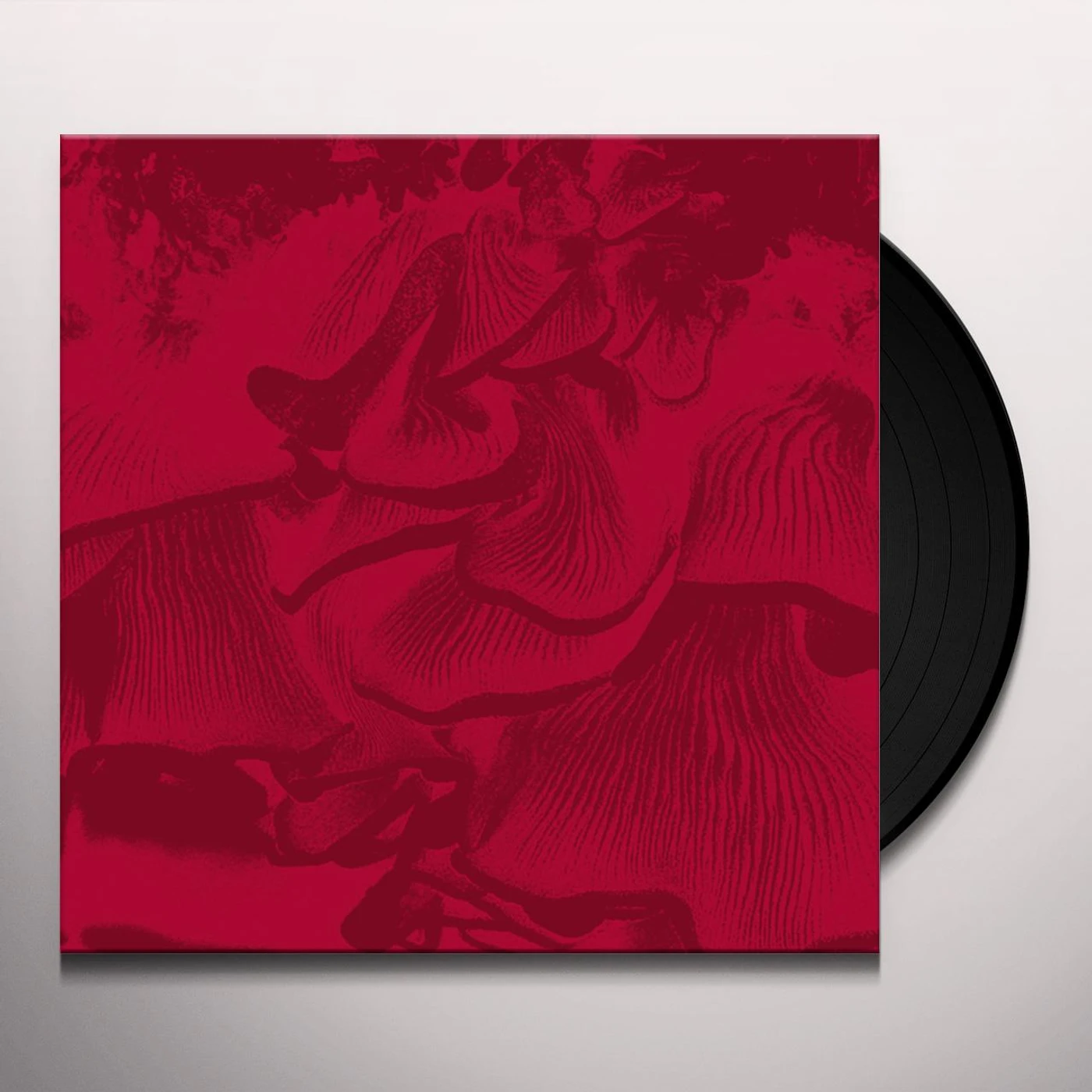 Maurizio Abate LIVE AT ELASTICO Vinyl Record