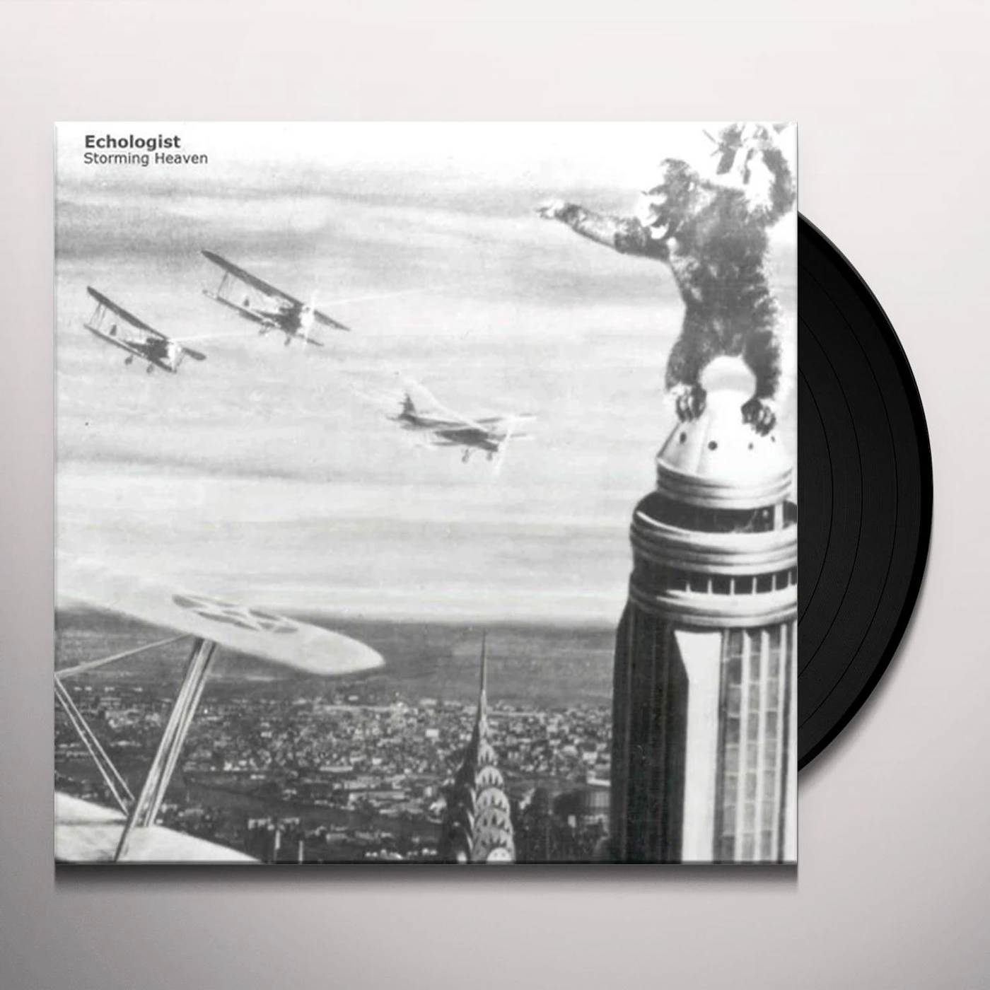 Echologist Storming Heaven Vinyl Record