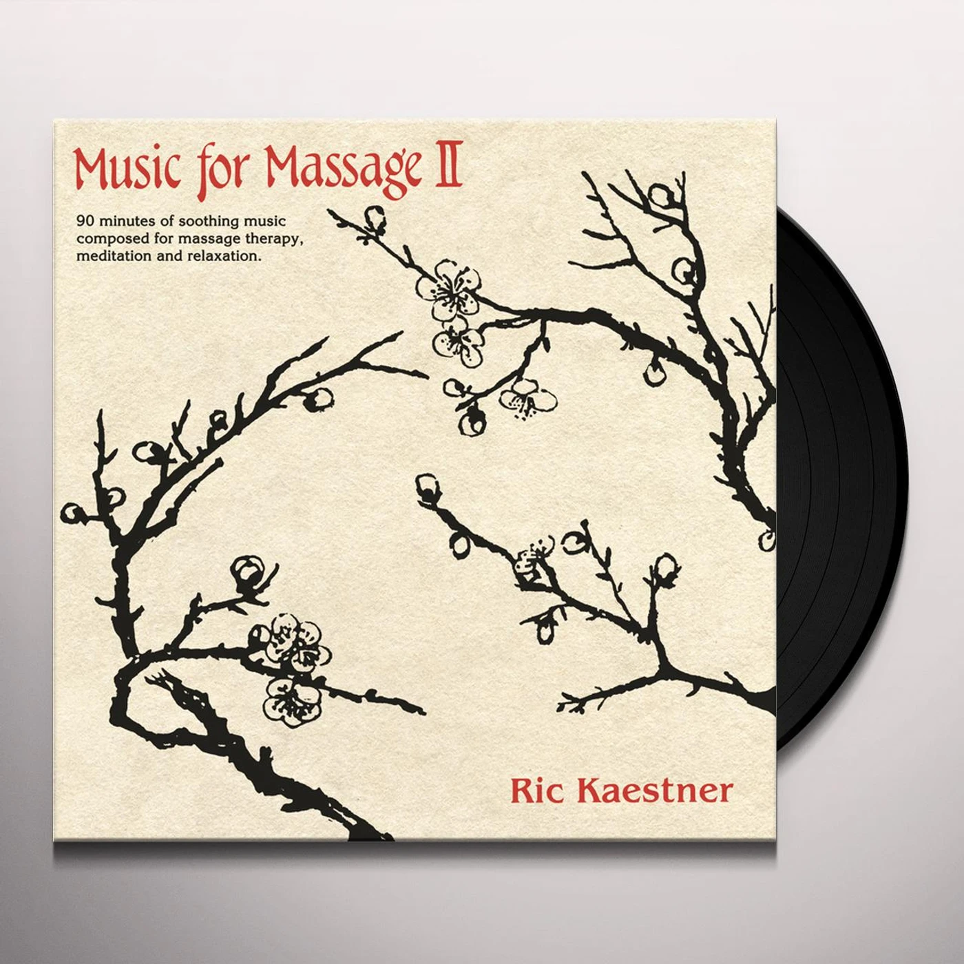 Ric Kaestner MUSIC FOR MASSAGE II Vinyl Record