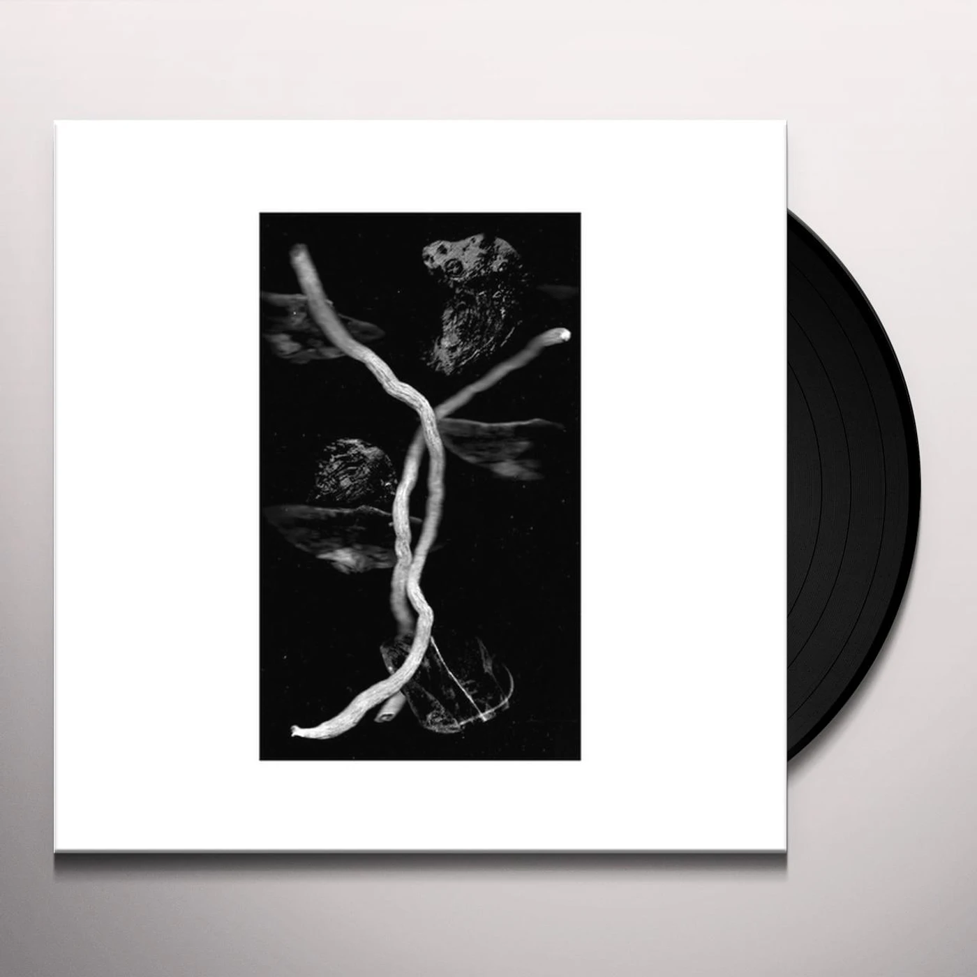 Celephaïs GREY DAWN QUAINT GARDENS Vinyl Record