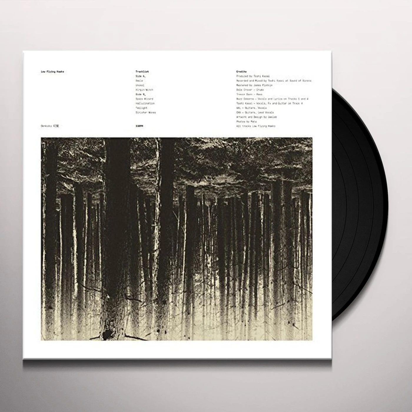 Low Flying Hawks Genkaku Vinyl Record