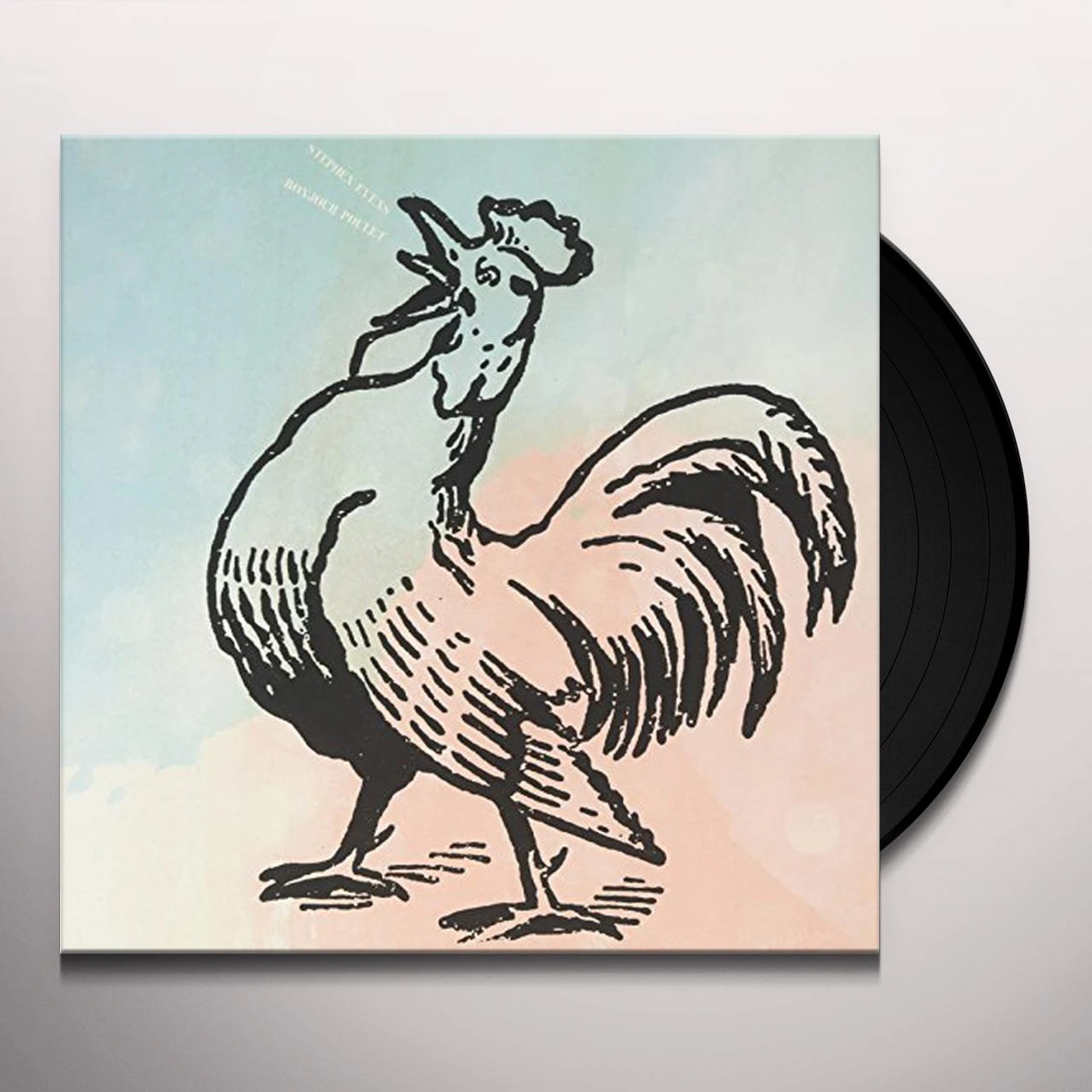 Stephen EvEns Bonjour Poulet Vinyl Record