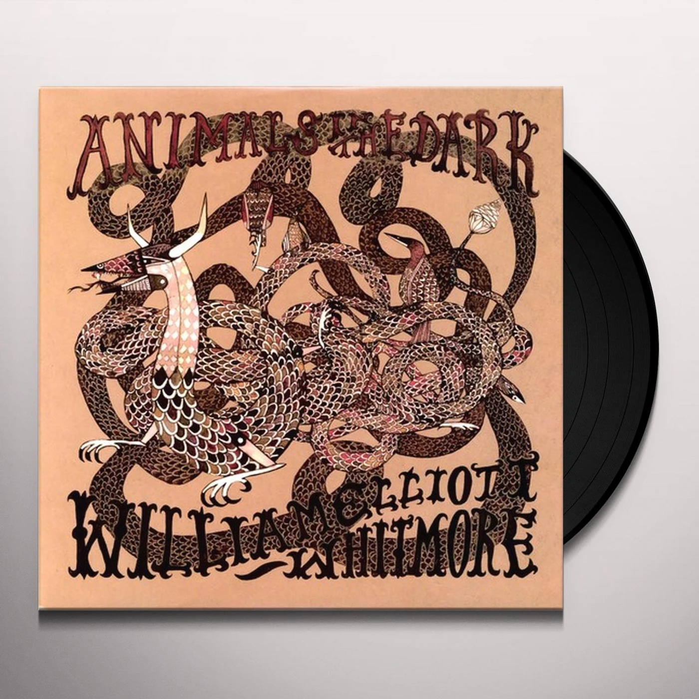 William Elliott Whitmore Animals In The Dark Vinyl Record