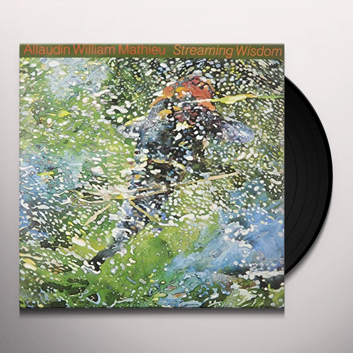 William Mathieu Streaming Wisdom Vinyl Record