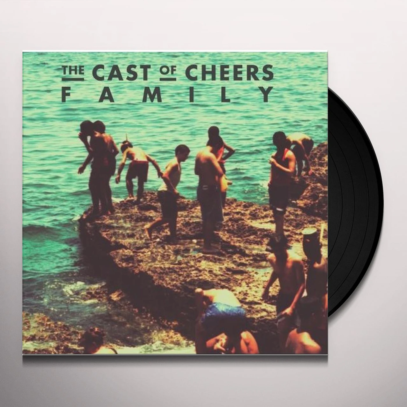 The Cast Of Cheers Family Vinyl Record