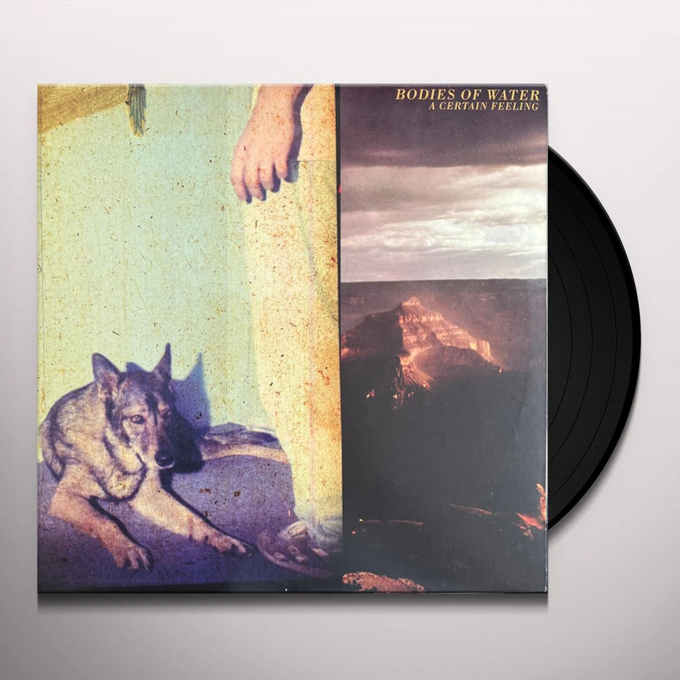 Bodies Of Water CERTAIN FEELING Vinyl Record
