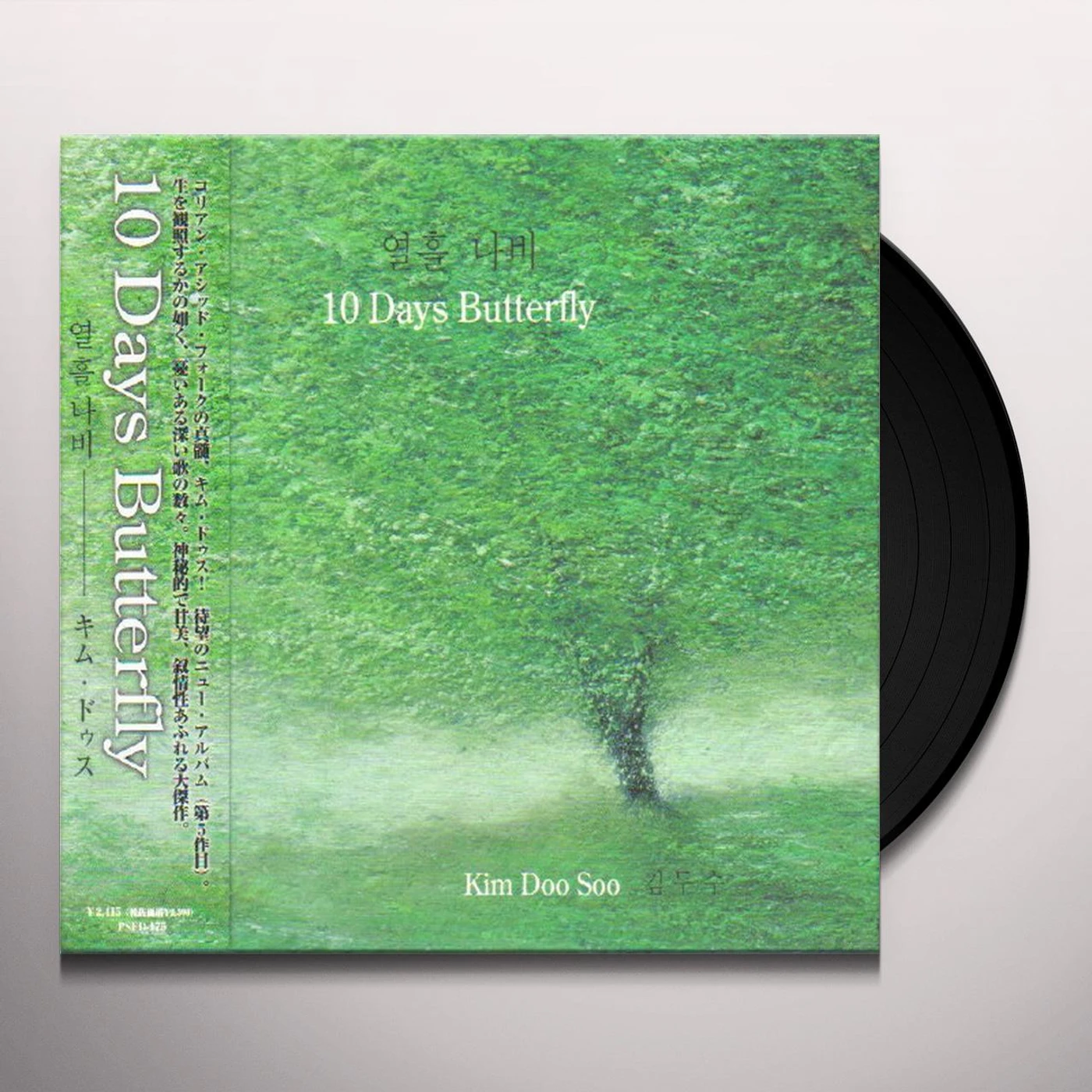 Kim Doo soo 10 Days Butterfly Vinyl Record
