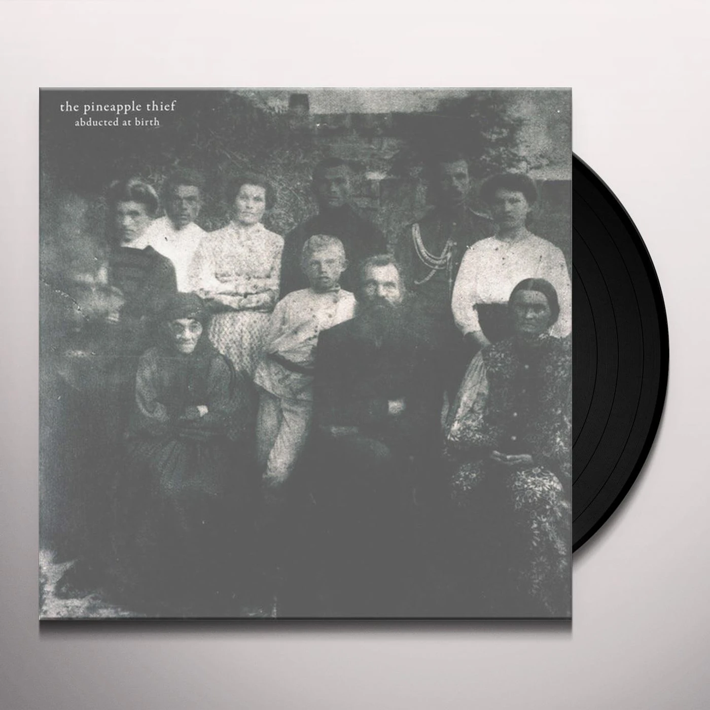 The Pineapple Thief ABDUCTED AT BIRTH Vinyl Record