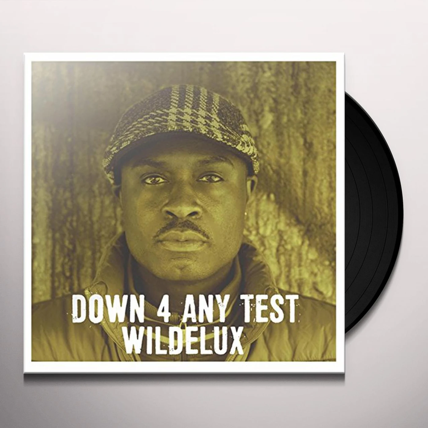 Wildelux Down 4 Any Test Vinyl Record