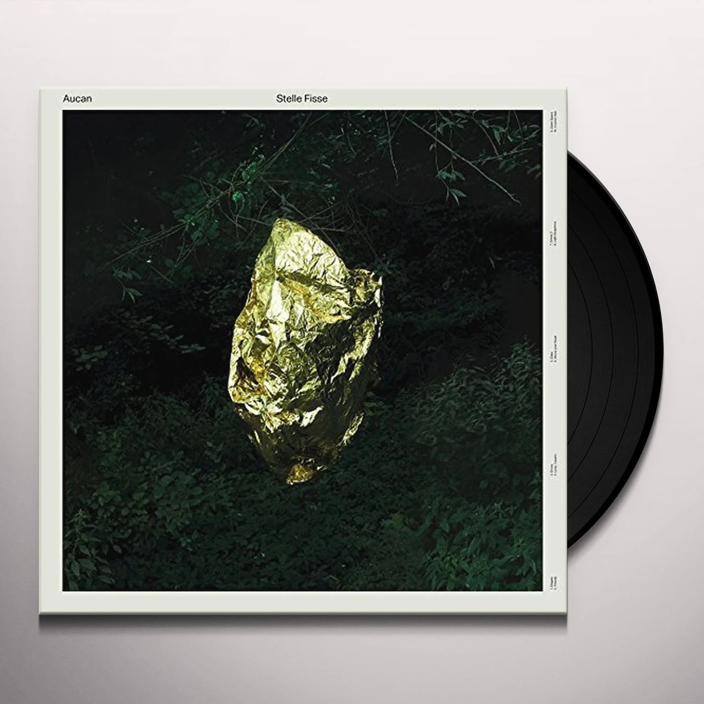 Aucan Stelle Fisse Vinyl Record