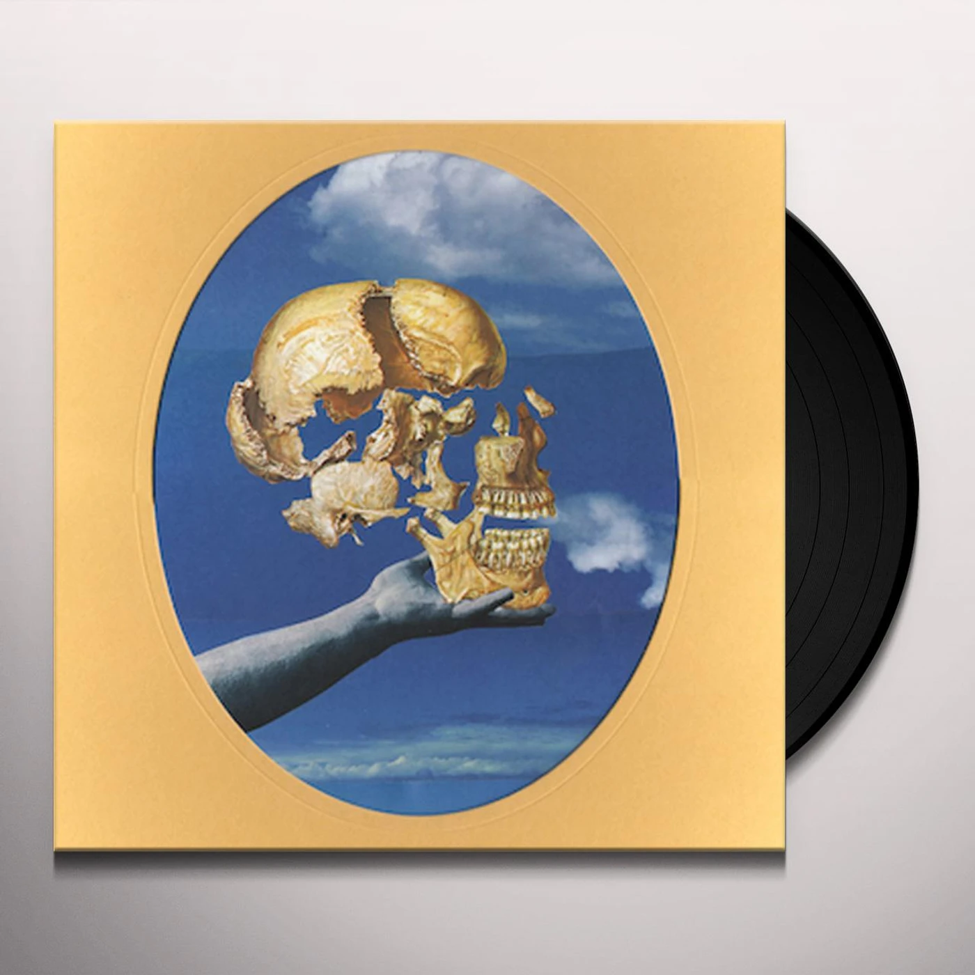 Sun Angle Skullflower Vinyl Record