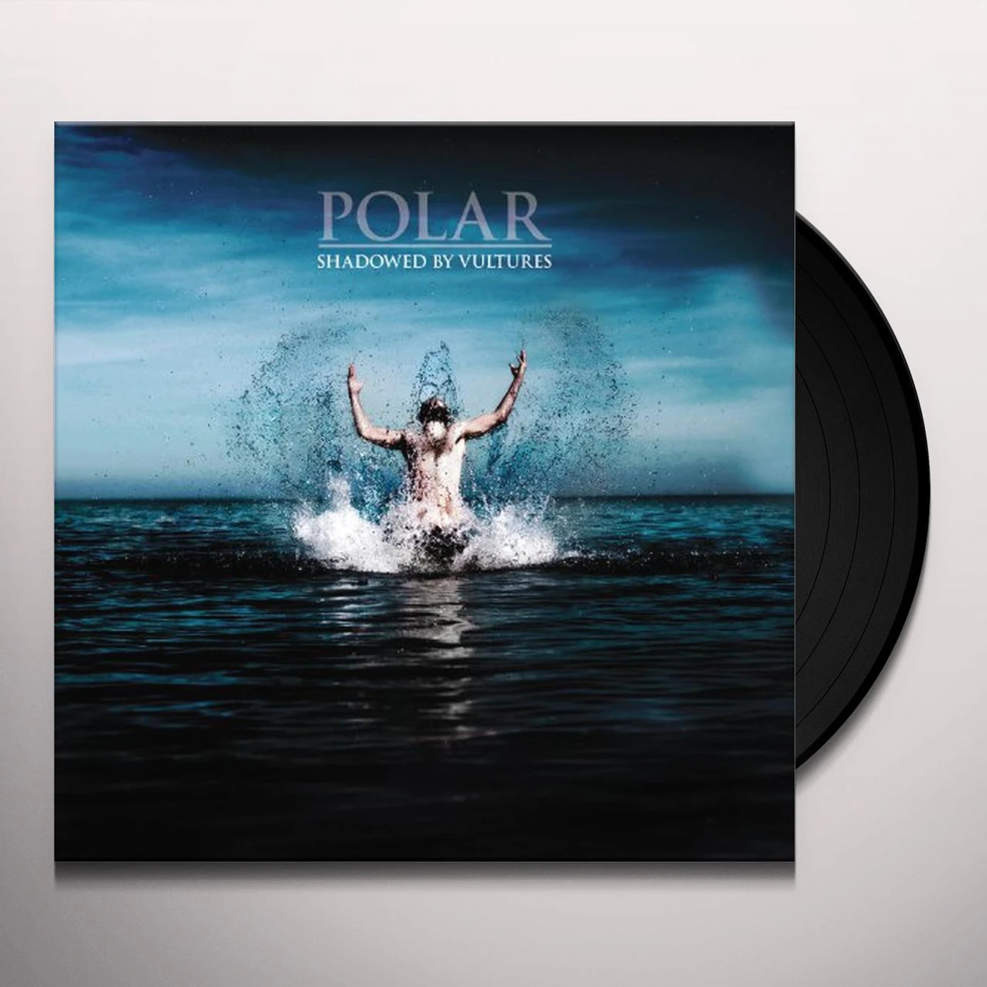 Polar Shadowed by Vultures Vinyl Record