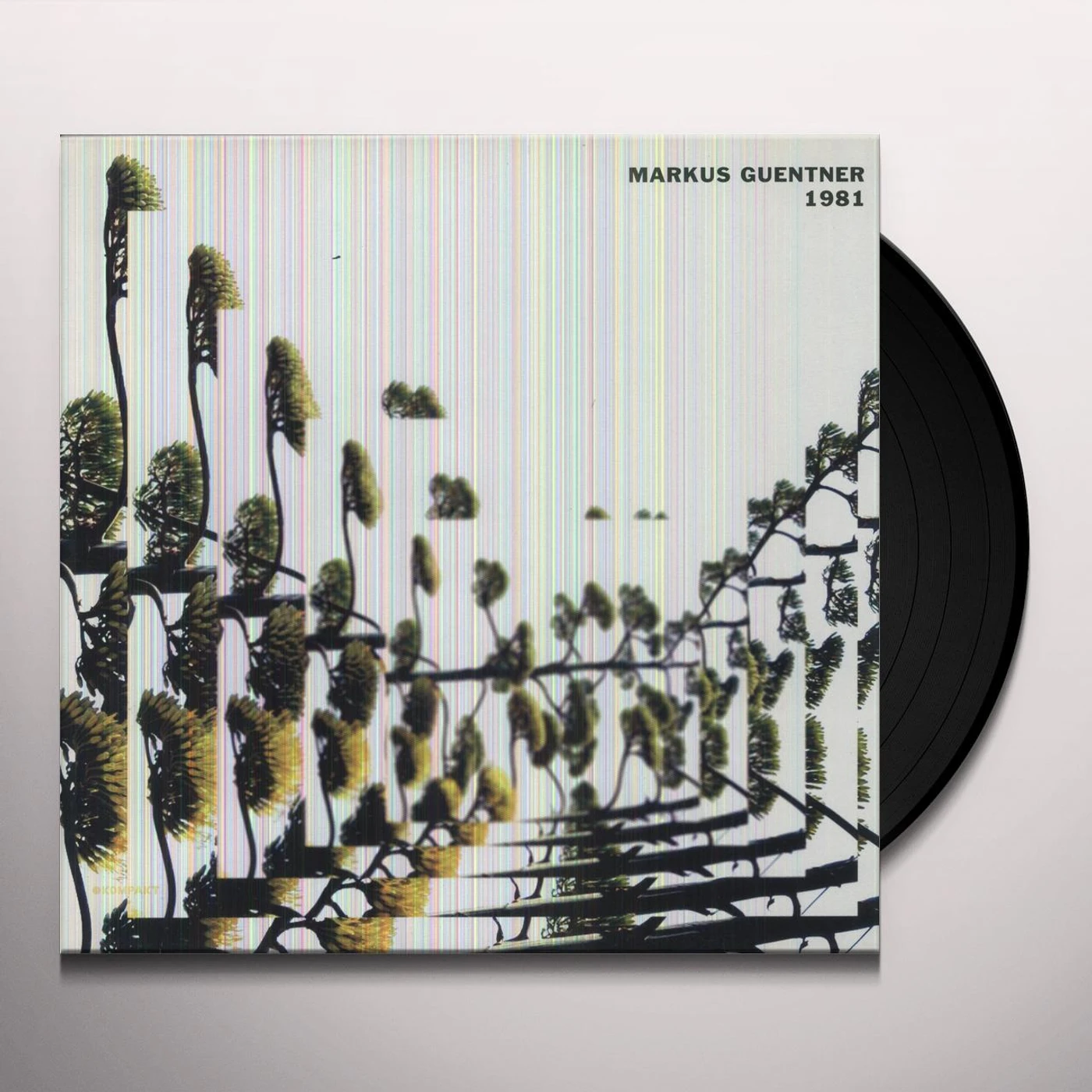 Markus Guentner 1981 Vinyl Record