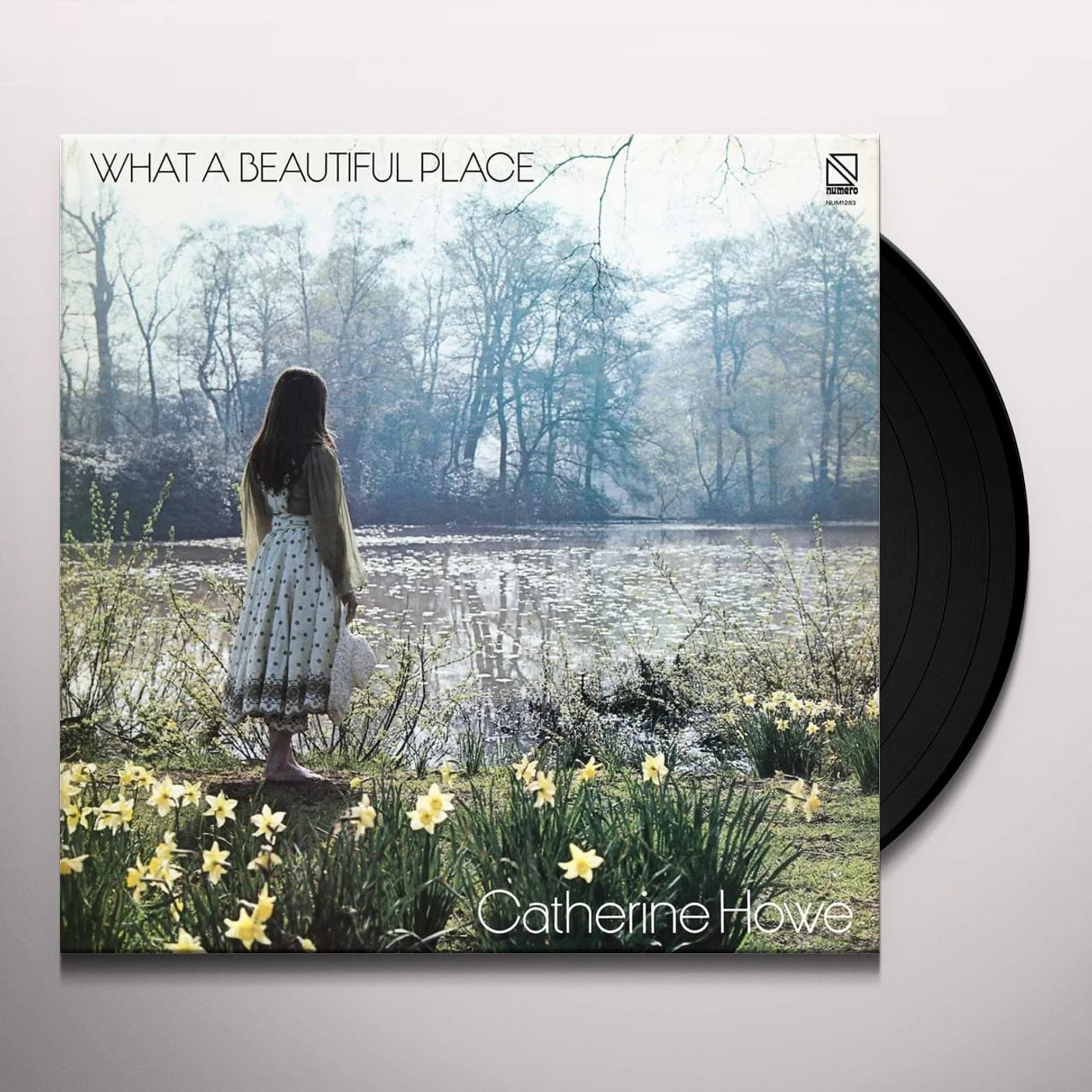Catherine Howe WHAT A BEAUTIFUL PLACE Vinyl Record