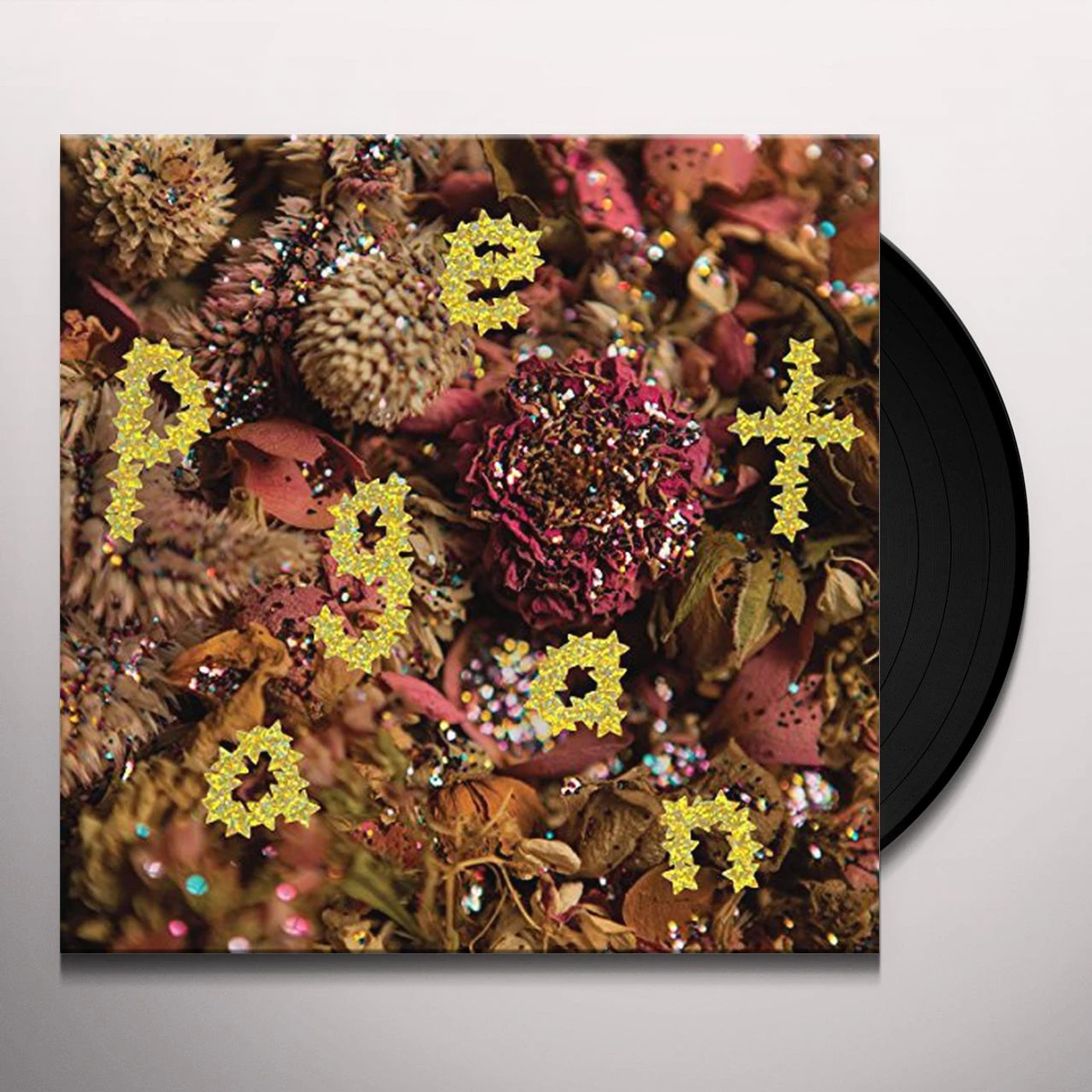 PWR BTTM Pageant Vinyl Record