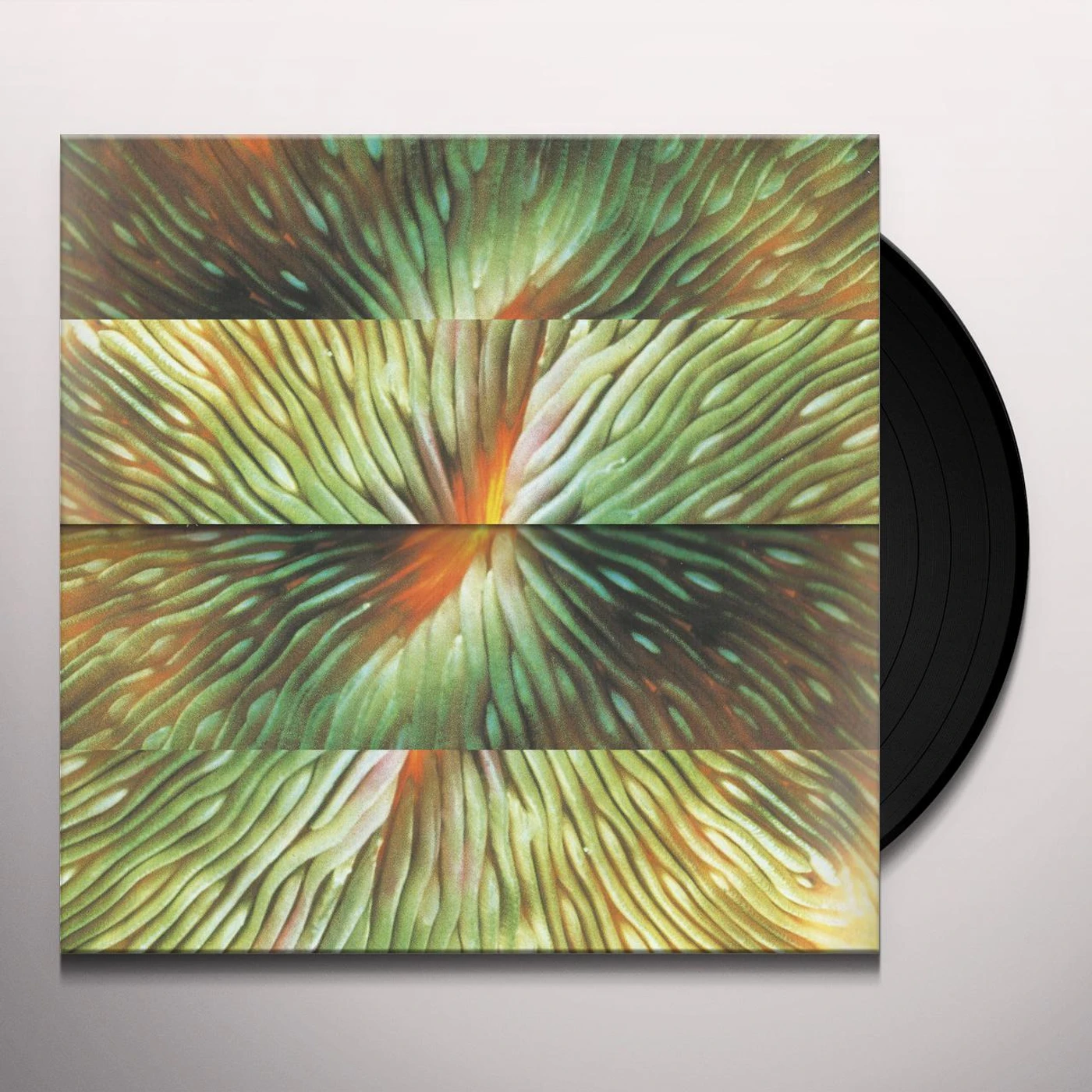 Active Surplus Mirroring Vinyl Record