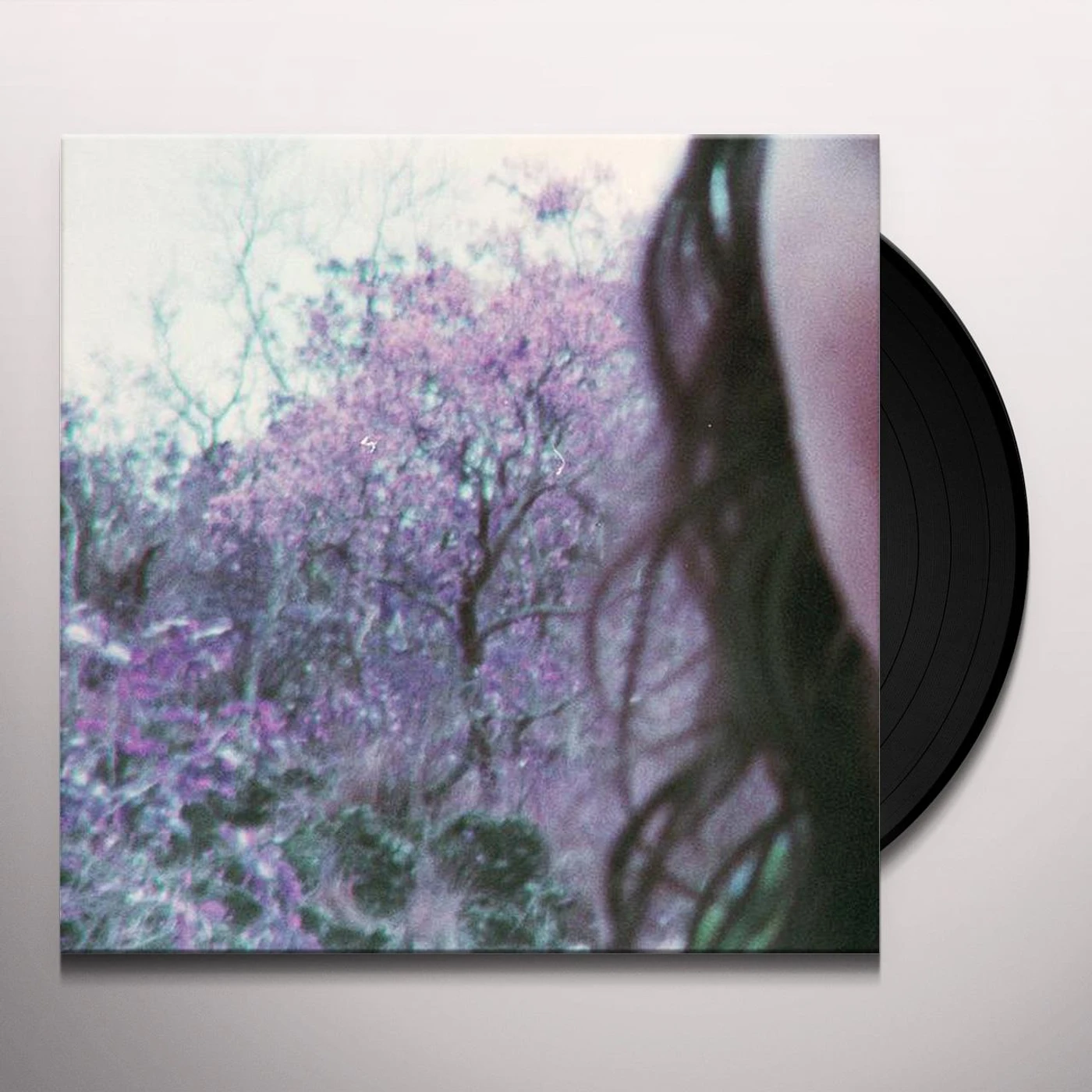 Carabobina Vinyl Record