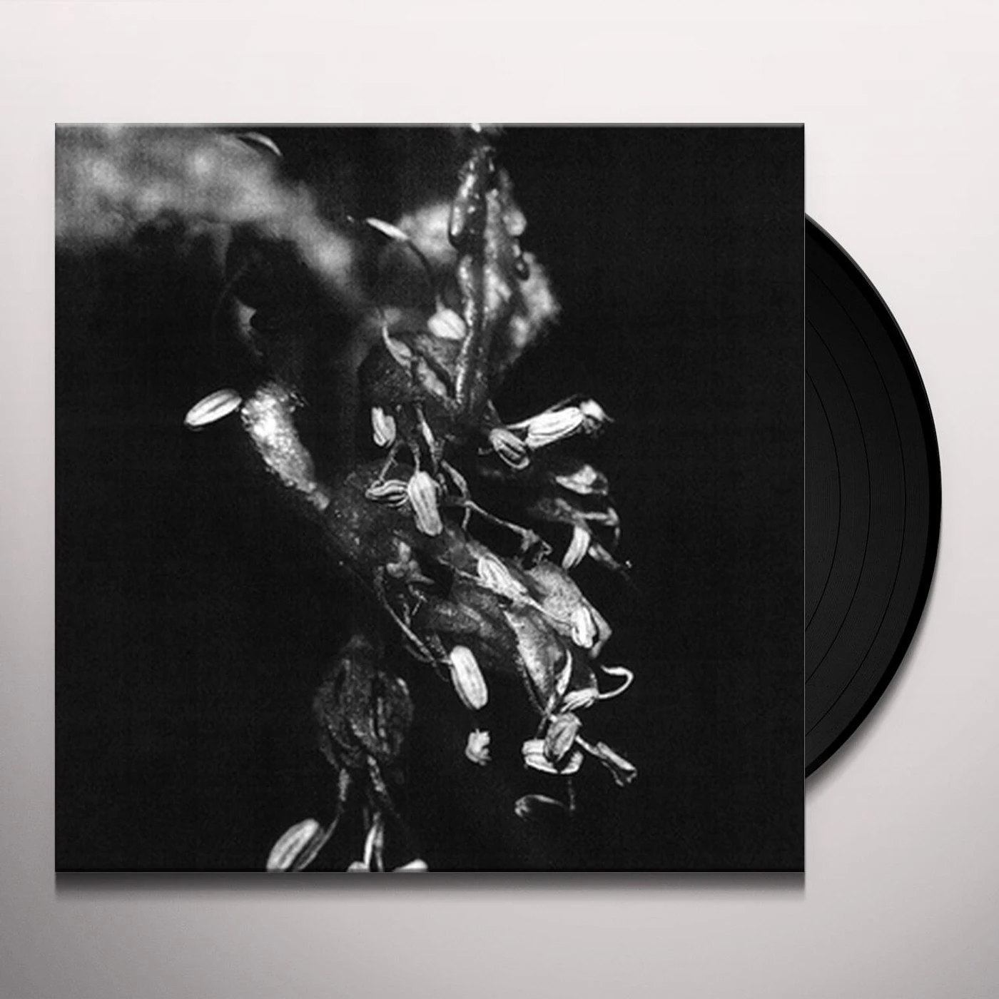 Mike Shiflet Sufferers Vinyl Record