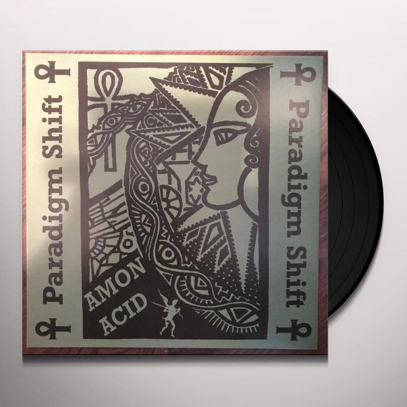Amon Acid PARADIGM SHIFT Vinyl Record