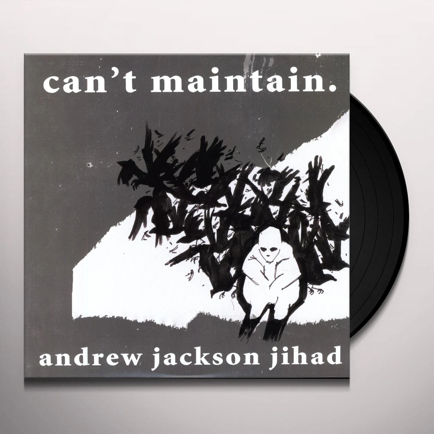 Andrew Jackson Jihad CAN'T MAINTAIN Vinyl Record