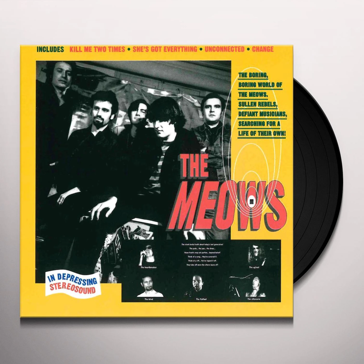 The Meows Vinyl Record