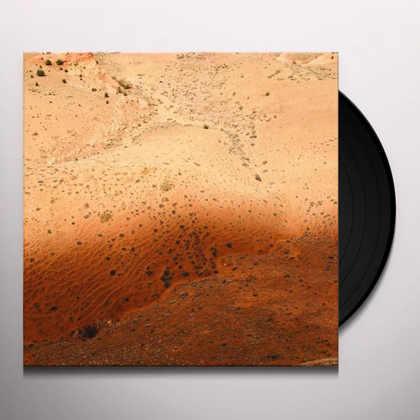 Forma Vinyl Record