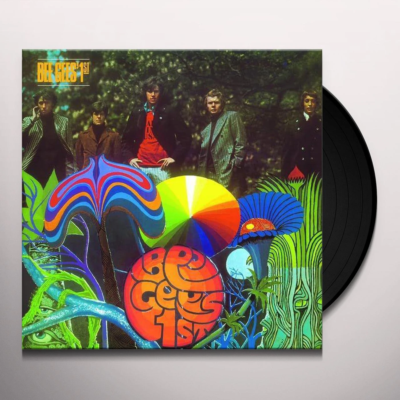Bee Gees 1ST Vinyl Record