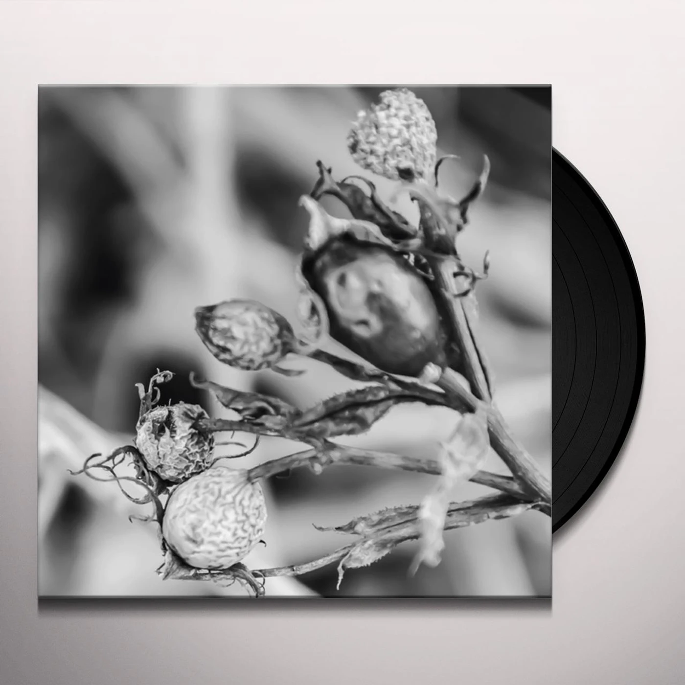 Bona Fide WIEK Vinyl Record