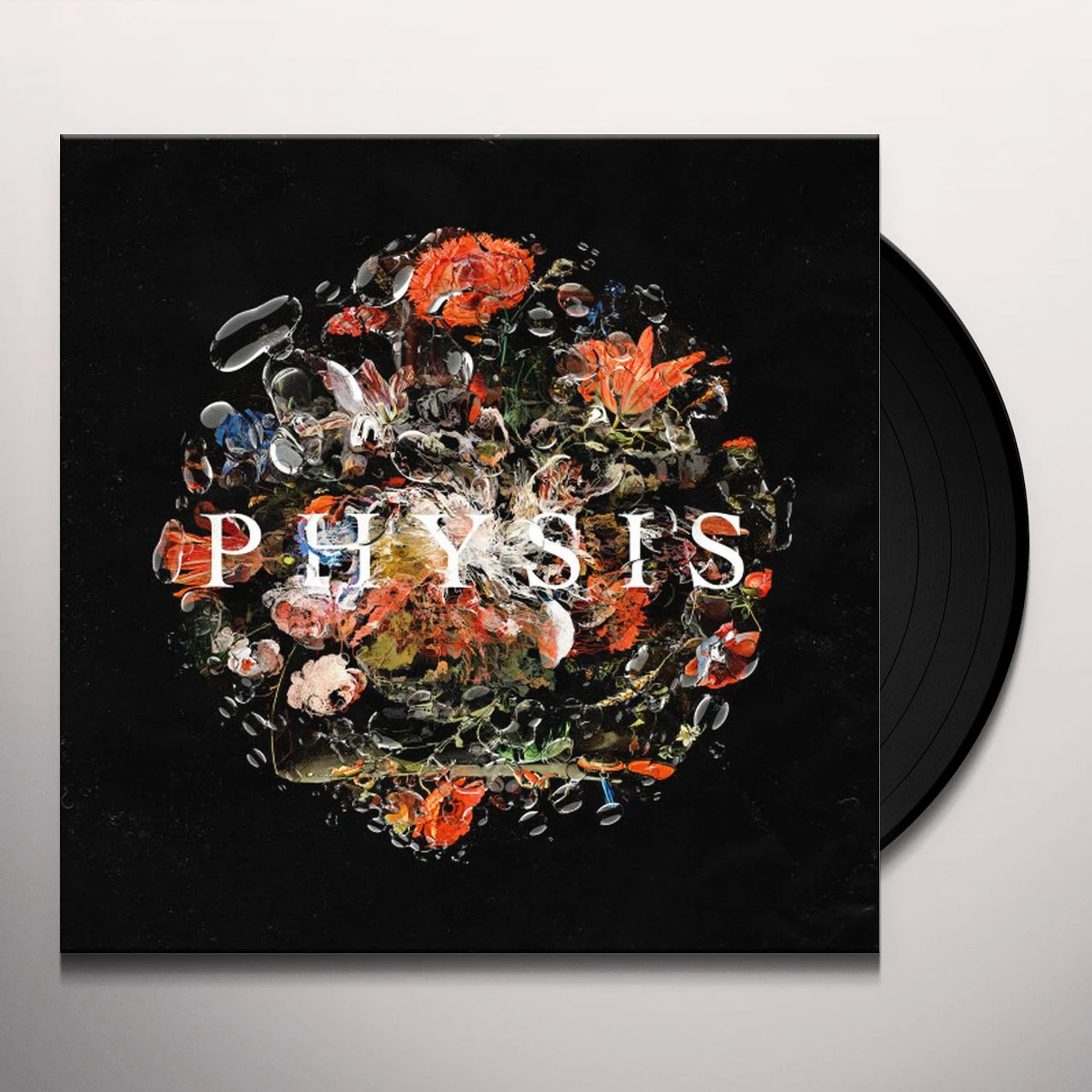 Daykoda PHYSIS Vinyl Record