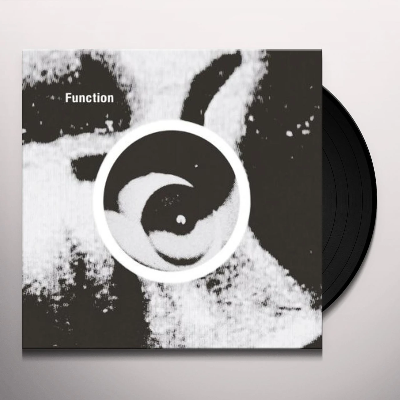 Function Gradient Vinyl Record
