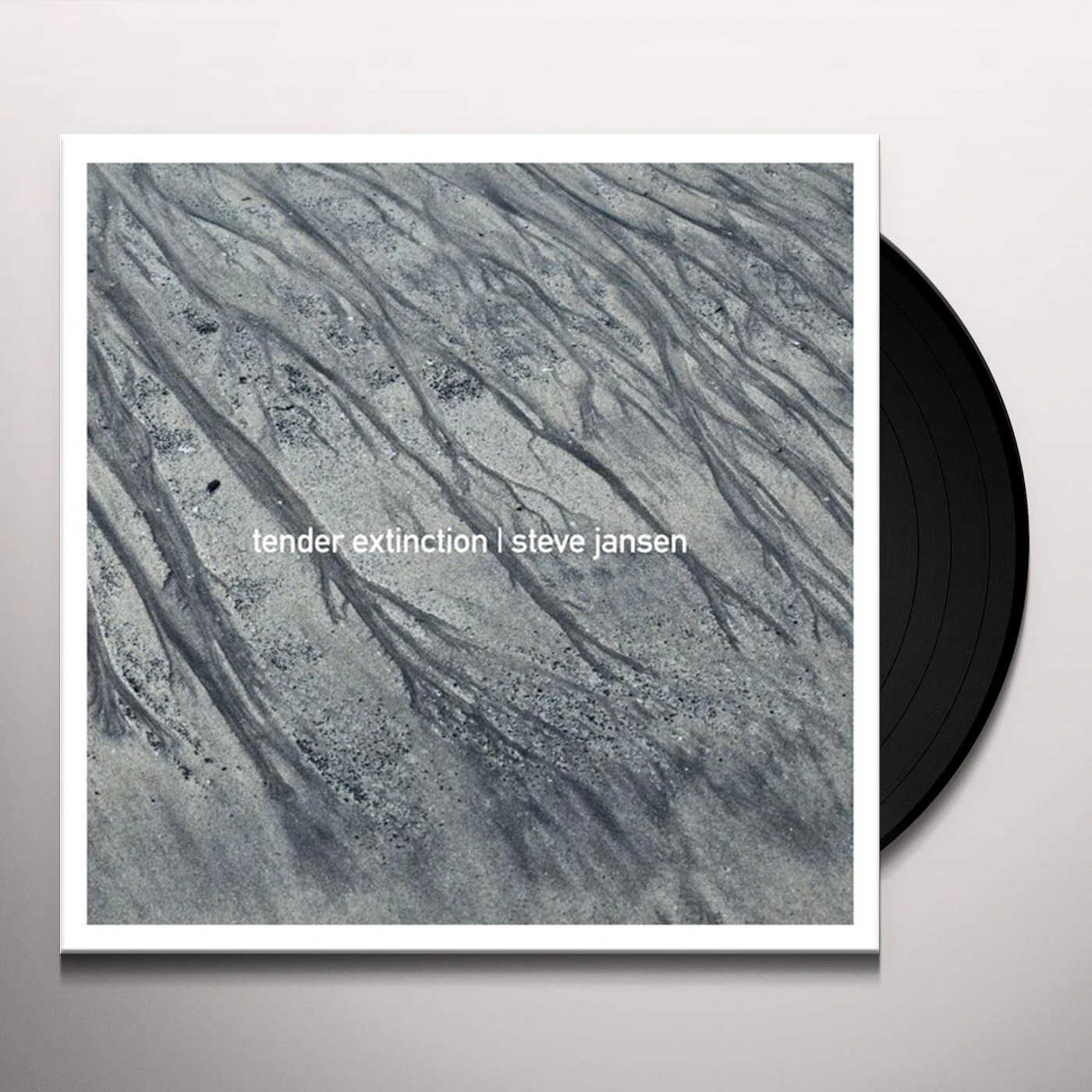 Steve Jansen Tender Extinction Vinyl Record