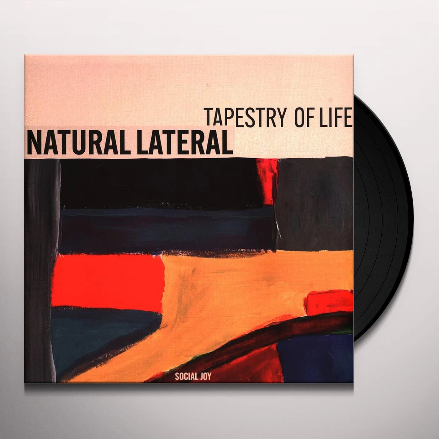 Natural Lateral TAPESTRY OF LIFE Vinyl Record