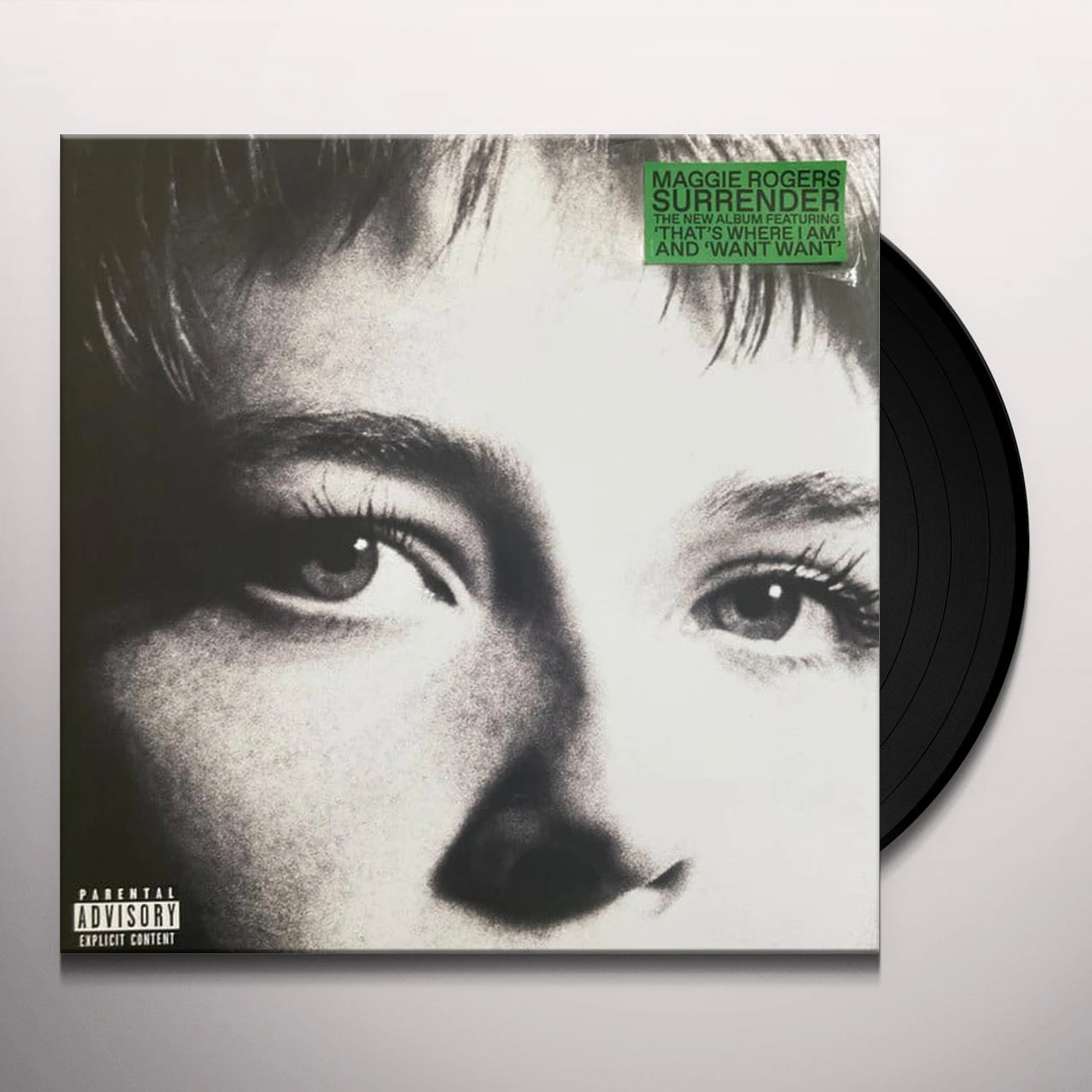 Maggie Rogers Surrender Vinyl Record
