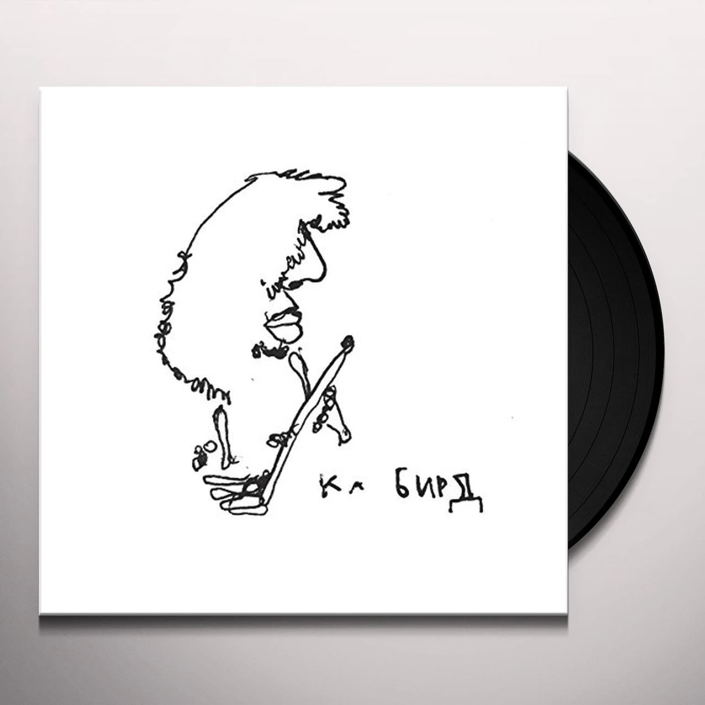 Ka Baird SAPROPELIC PYCNIC Vinyl Record