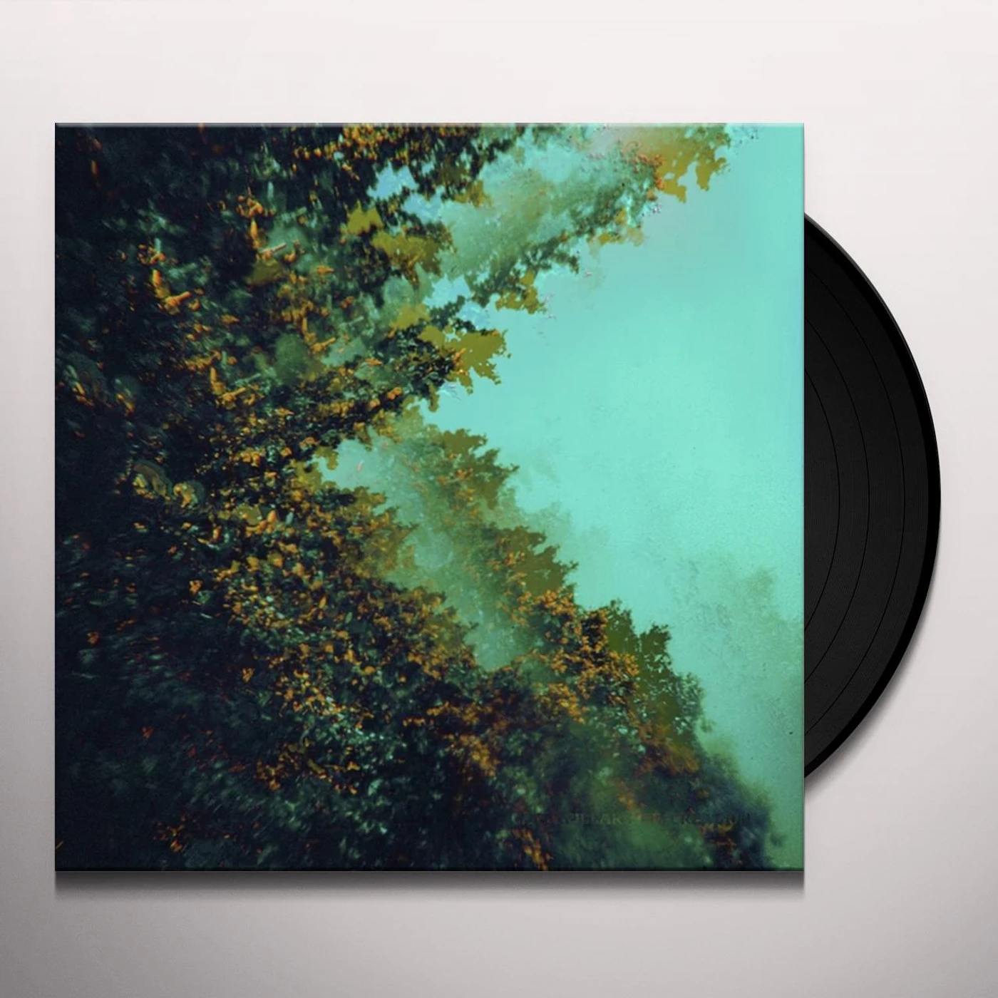 Polymoon Caterpillars of Creation Vinyl Record