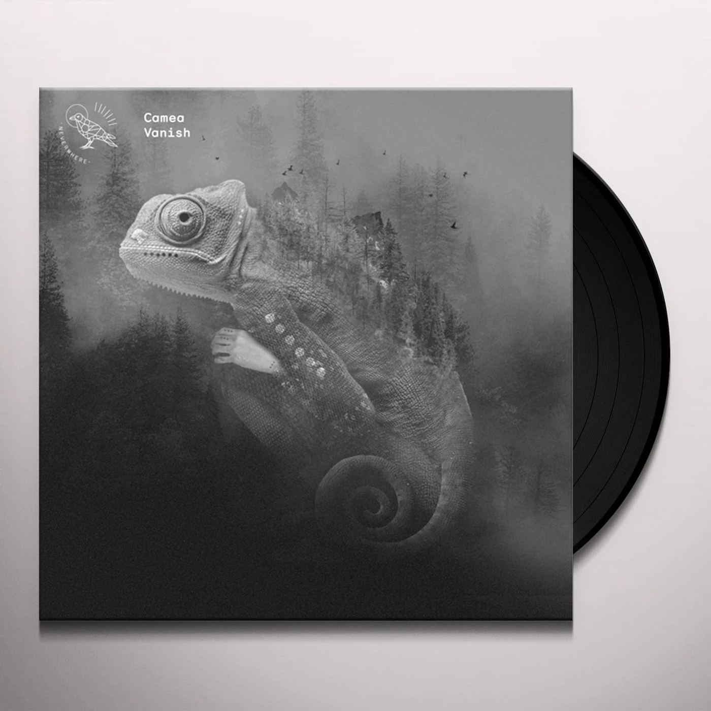 Camea Vanish Vinyl Record