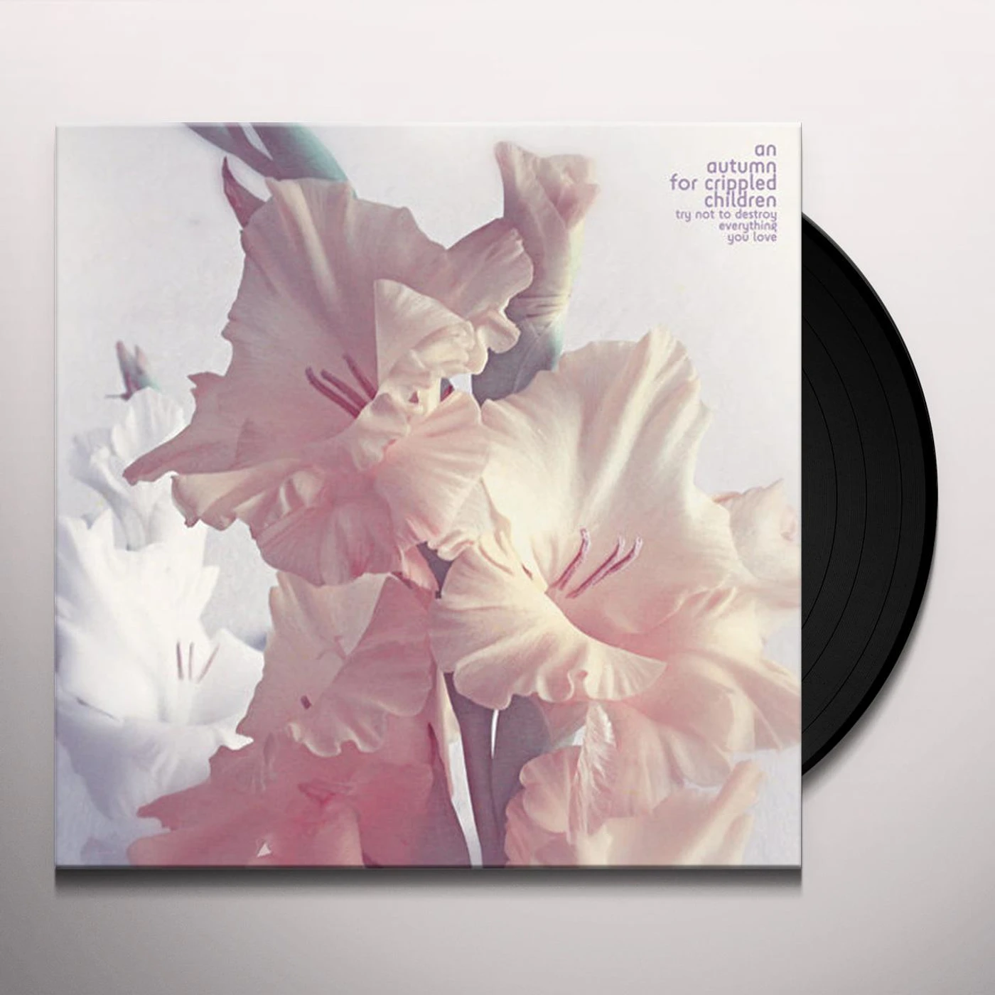 An Autumn for Crippled Children TRY NOT TO DESTROY EVERYTHING YOU LOVE Vinyl Record