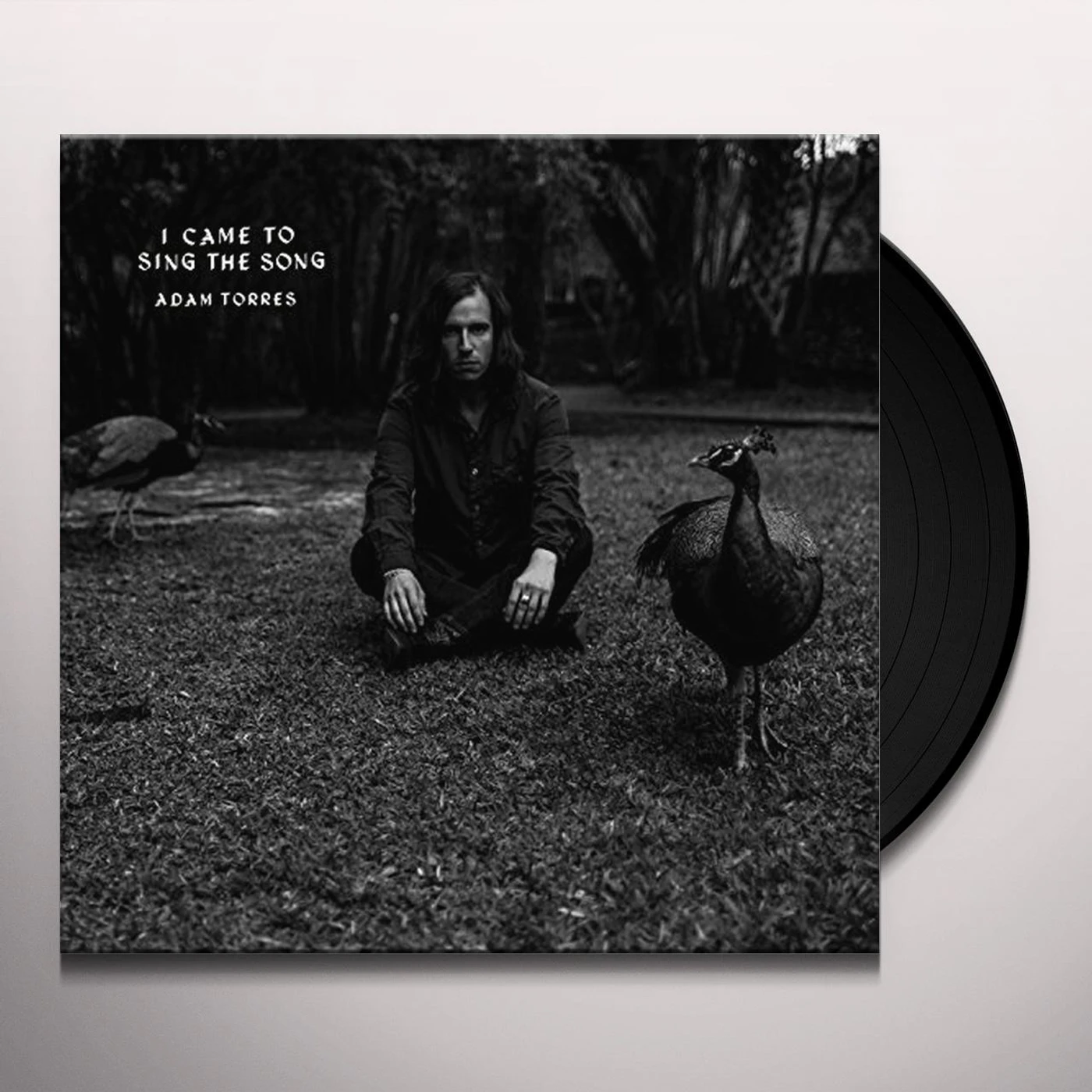 Adam Torres I Came to Sing the Song Vinyl Record