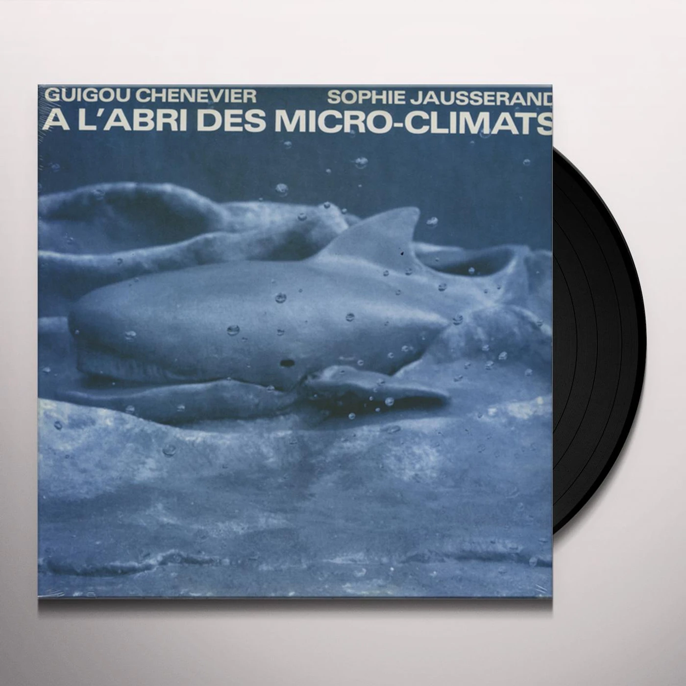 Guigou Chenevier A L'ABRI DES MICRO CLIMATS Vinyl Record