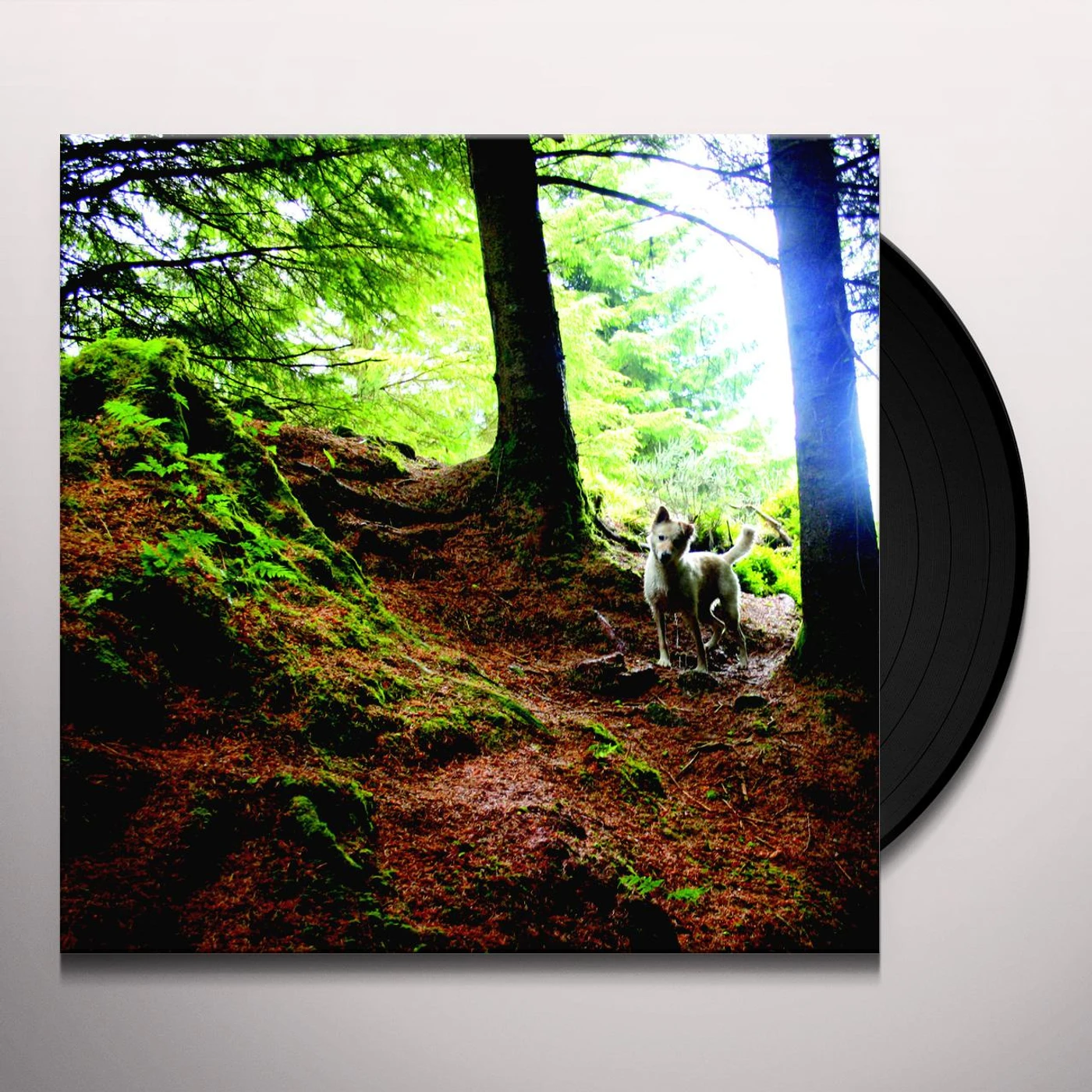 Chewing on Tinfoil MARROWBONE LANE (PURPLE VINYL) Vinyl Record