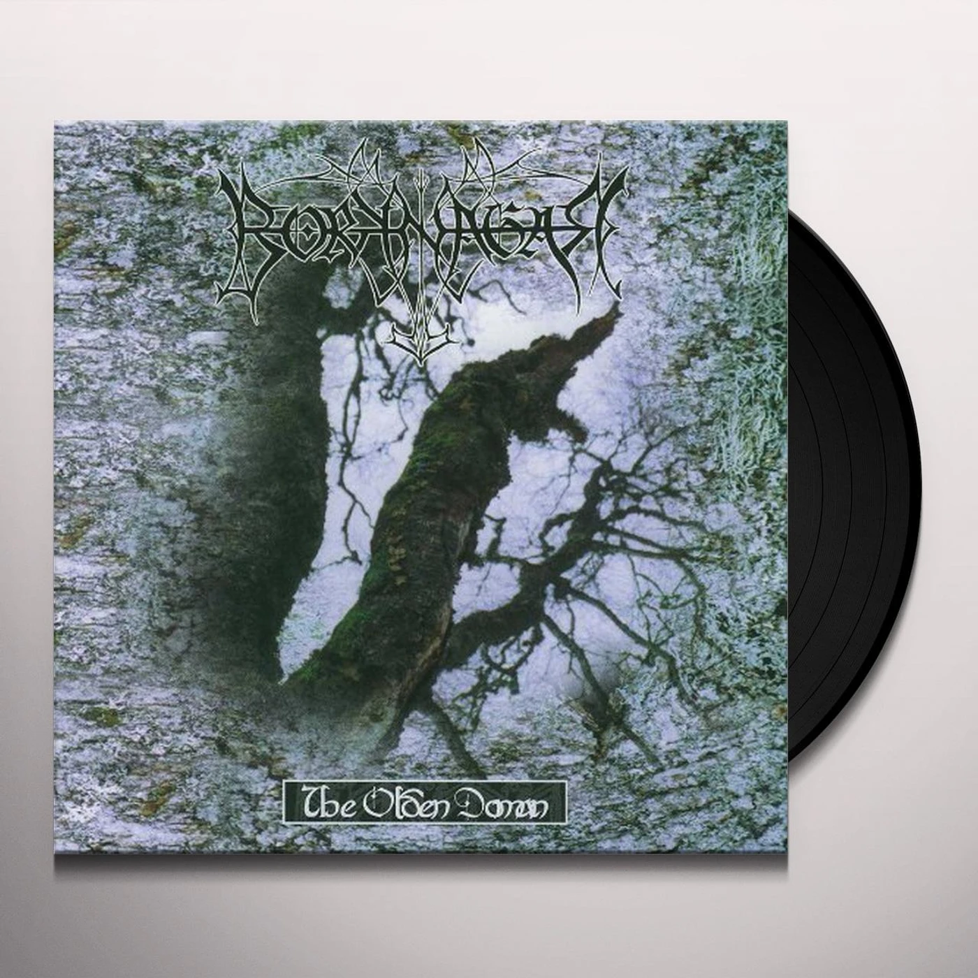Borknagar OLDEN DOMAIN Vinyl Record