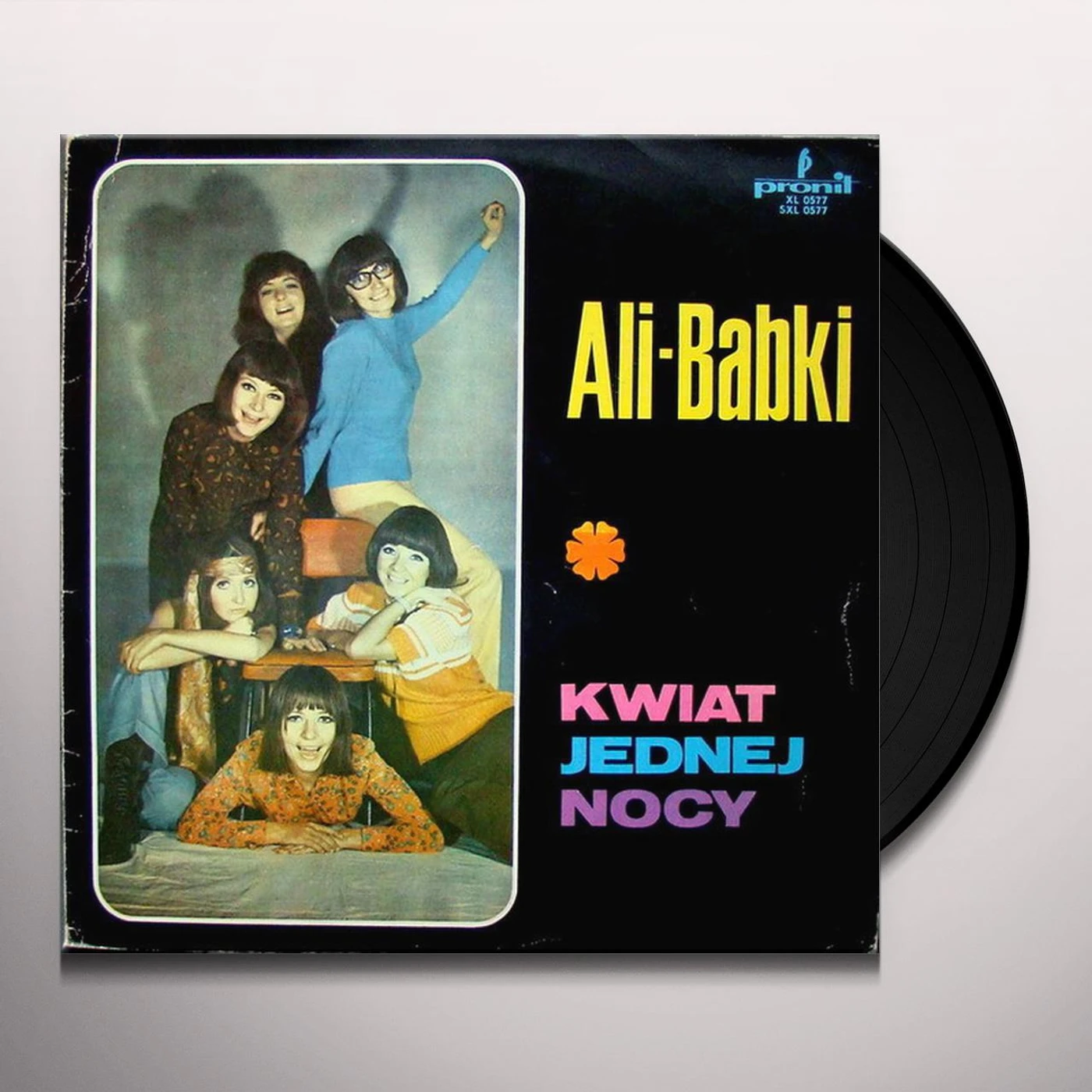 Alibabki Kwiat Jednej Nocy Vinyl Record