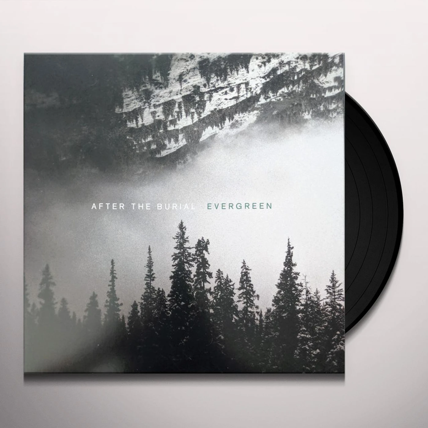 After The Burial Evergreen Vinyl Record