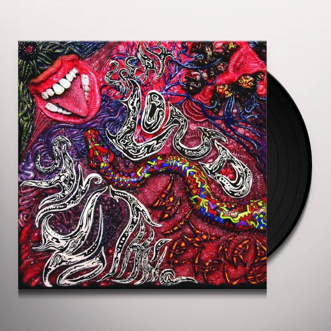Wizard Rifle Speak Loud Say Nothing Vinyl Record