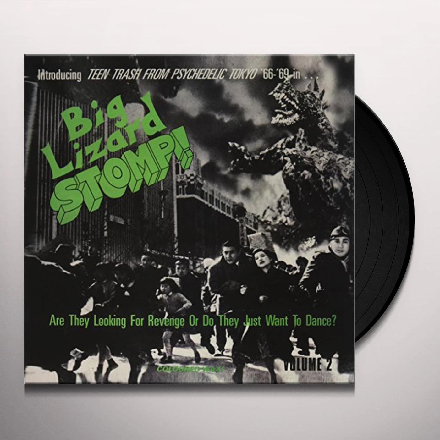 BIG LIZARD STOMP 2: TEEN TRASH PSYCHEDELIC / VAR Vinyl Record