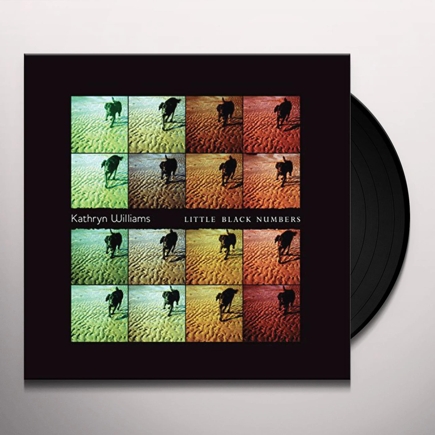 Kathryn Williams LITTLE BLACK NUMBERS Vinyl Record