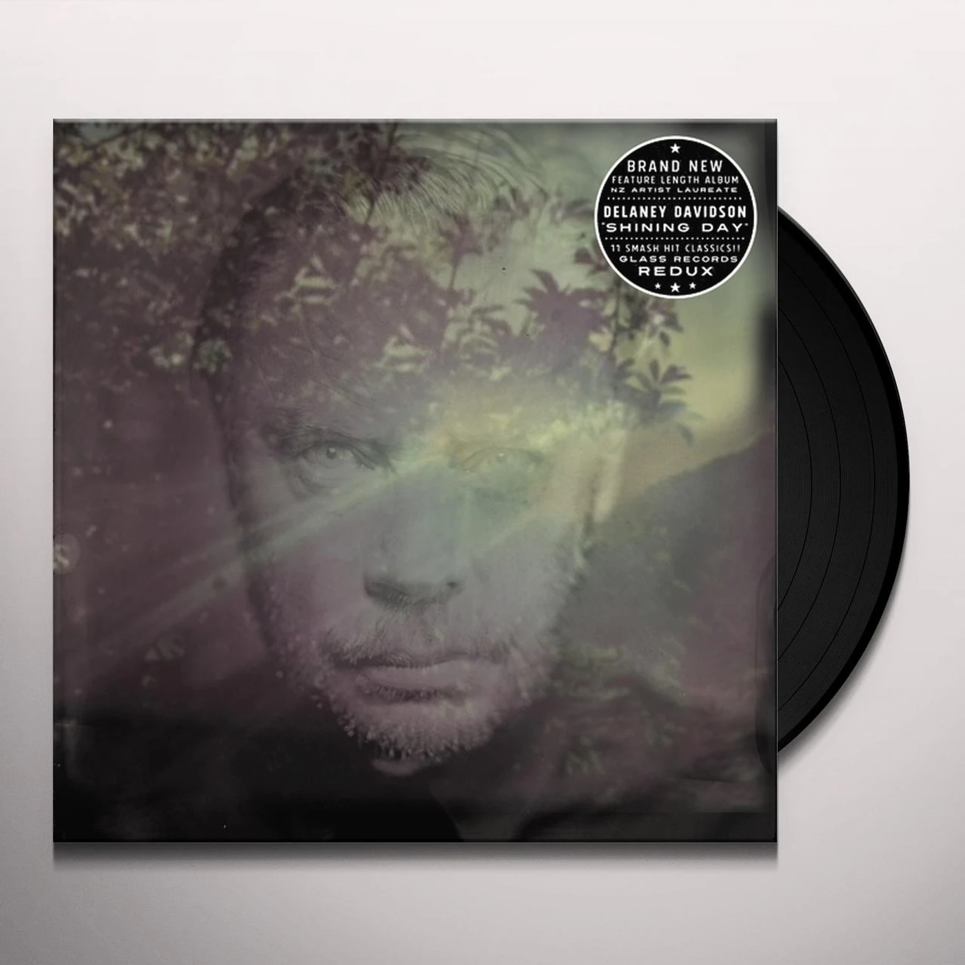 Delaney Davidson Shining Day Vinyl Record