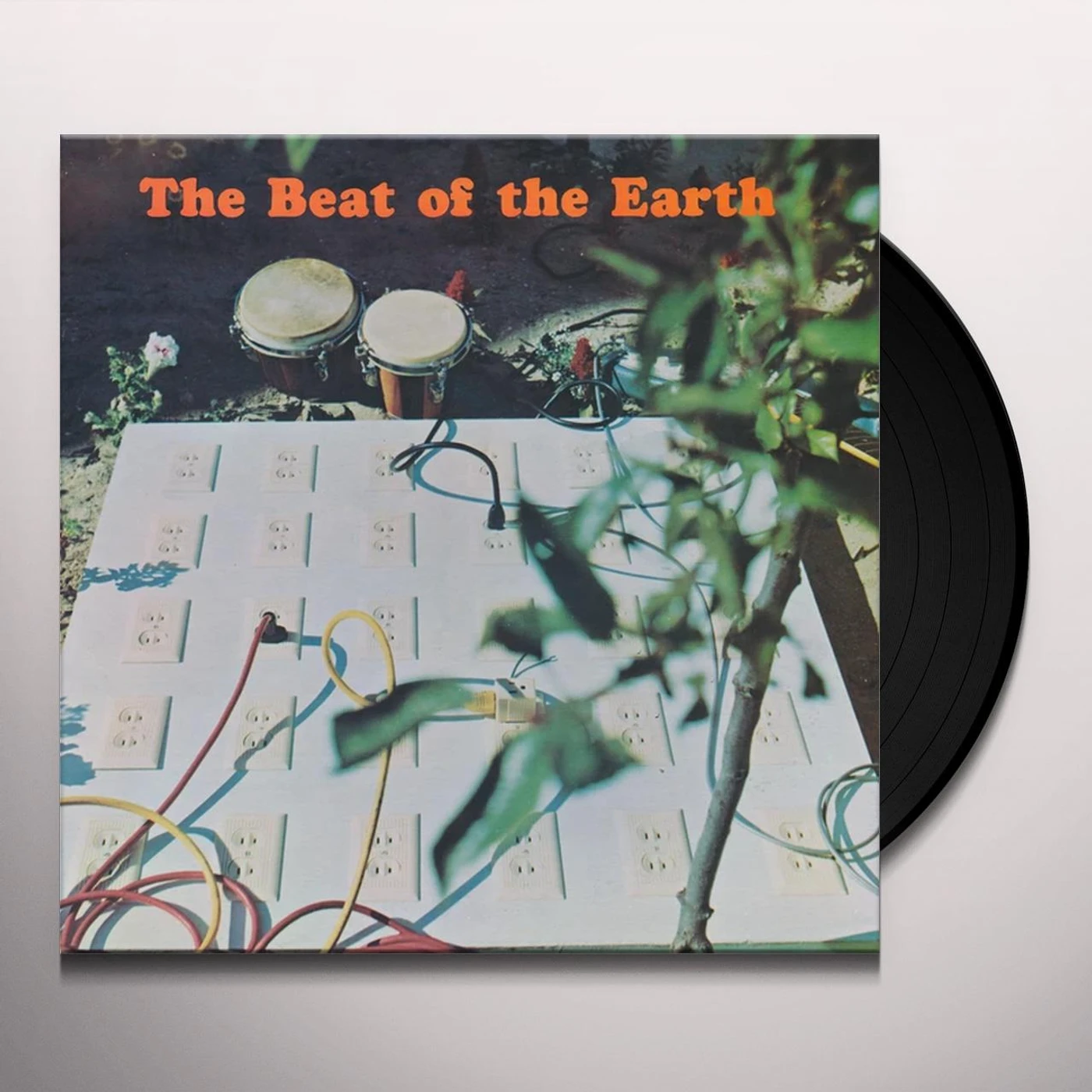 The Beat Of The Earth Vinyl Record